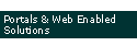 Portals and Web-enabled solutions