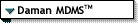 Daman MDMS