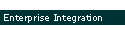 Enterprise Integration