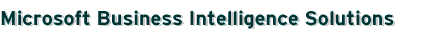 Microsoft Business Intelligence Solutions